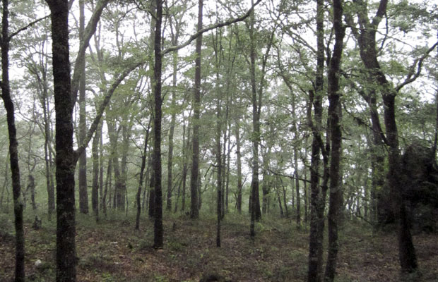 “Minas dañarían a zona protegida”