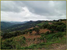 zaca