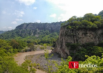colima