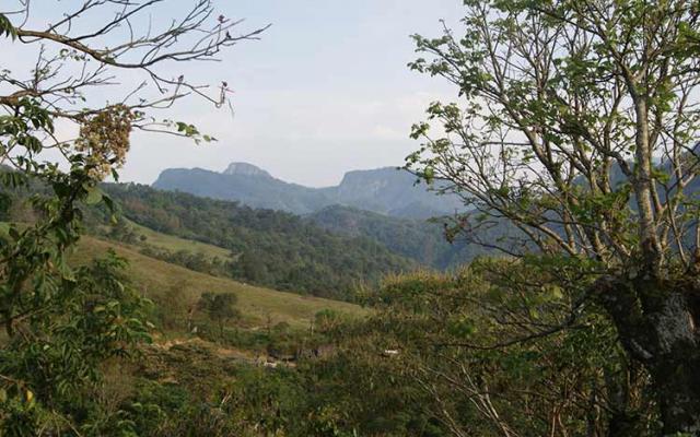 Se introduce Almaden a predios de Zacapoaxtla para explorar el terreno