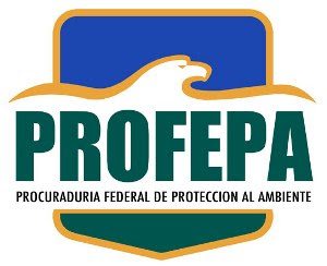 Actividad minera en Natividad y Cuzcatlán enfrenta problemas con Profepa asegura delegado