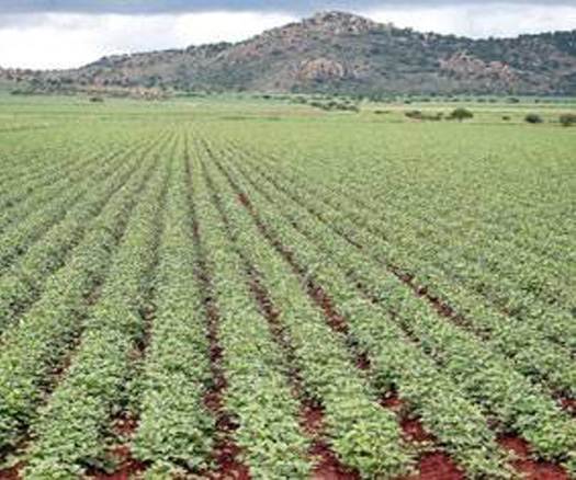 Industria minera acapara 35 millones de hectáreas cultivables dañando el medio ambiente: FICAM