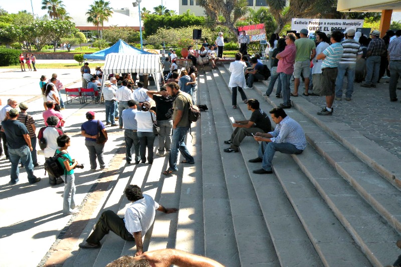 Plantón5