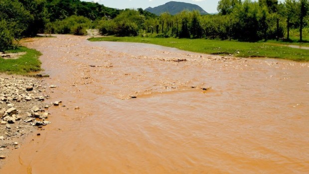 Profepa sólo multará a Grupo México por el «peor desastre ambiental» en la minería