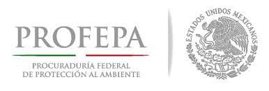 Supervisa Profepa a minera por derrame