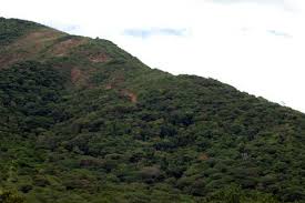 Declaran al Istmo de Tehuantepec región libre de minería