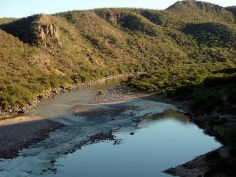 México: desastre ambiental en las aguas del río Sonora