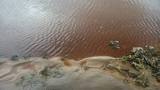 Limpieza de ríos en Sonora lleva 92% de avance, asegura Buena Vista del Cobre
