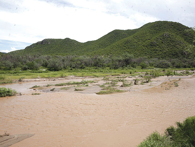 Costo por derrame de Grupo México en Sonora, será de 1,800 mdp
