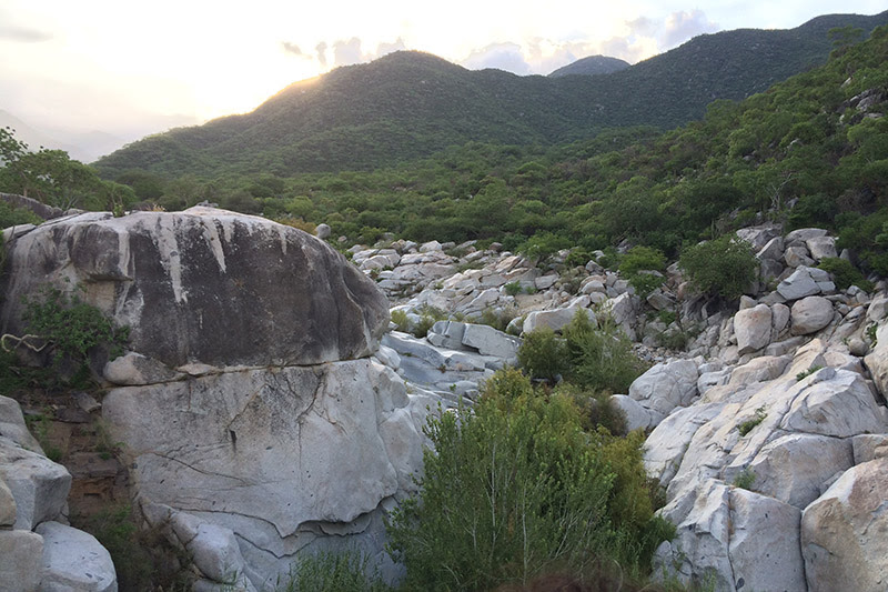 De construirse Los Cardones destruiría yacimiento de fósiles en Sierra La Laguna