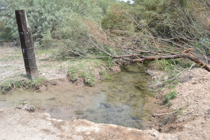 Minera contamina en Chalchihuites, denuncian