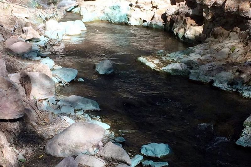 Rechaza mina culpa en derrame en Sonora