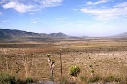 Urge especialista a declarar al semidesierto Área Natural Protegida