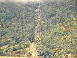 Pobladores denuncian la tala de al menos 300 hectáreas de bosque en el municipio de Ahuazotepec