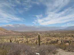 Los Cardones podrá iniciar operaciones si le autorizan el cambio de uso de suelo