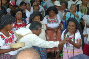 Mujeres de Capulálpam: la defensa del territorio frente a la explotación minera