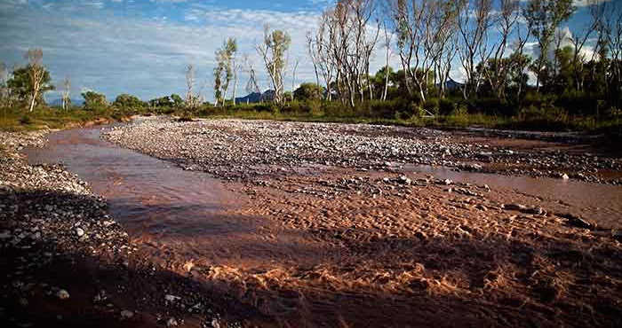 El Gobierno de México se guardó pruebas del daño a la gente en Cananea, exhibe diario de EU