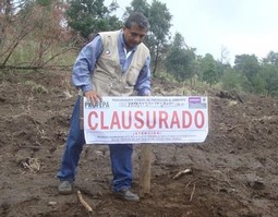 Clausuran proyecto minero por daños forestales