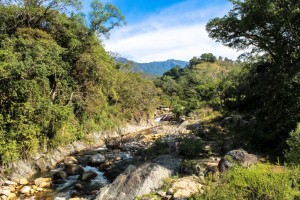 En Ayotitlán las detenciones arbitrarias e invasión de tierras son el pan de cada día