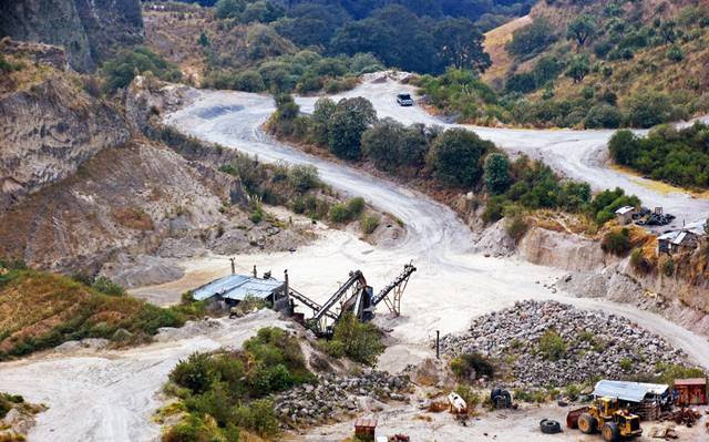 Acaban mineras con flora y fauna