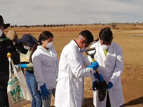 Zacatecanos, expuestos a elevadas concentraciones de metilmercurio y plomo