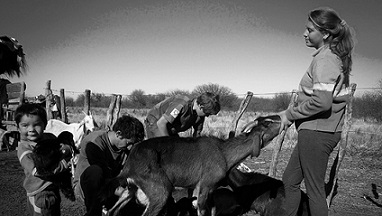 La agricultura campesina es la agricultura del futuro