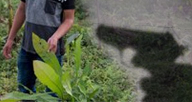 México supera a países africanos en asesinatos de ambientalistas