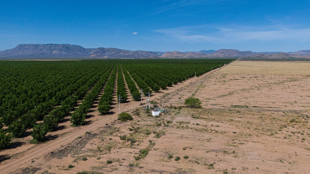 El desierto donde se trafica agua