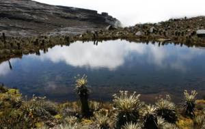 Colombia será demandada por multinacionales por impedir minería en Páramos