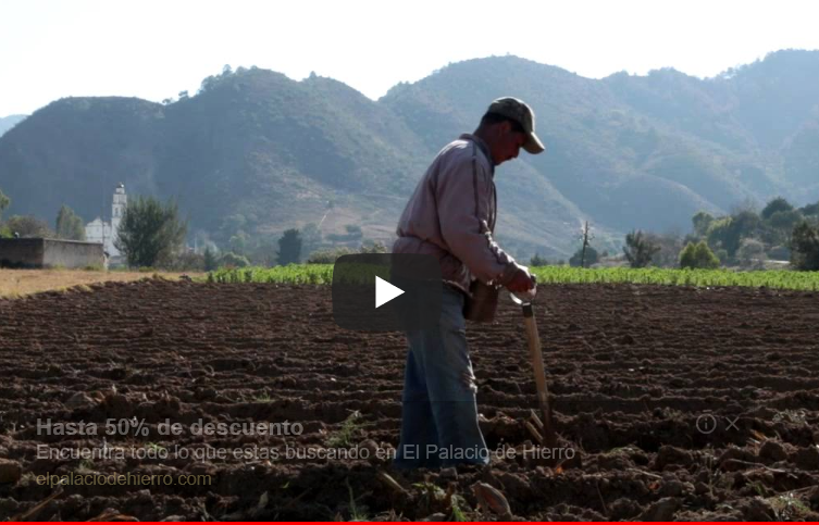 Documental sobre la resistencia de los pueblos de la Sierra Norte de Puebla, contra los megaproyectos de muerte.