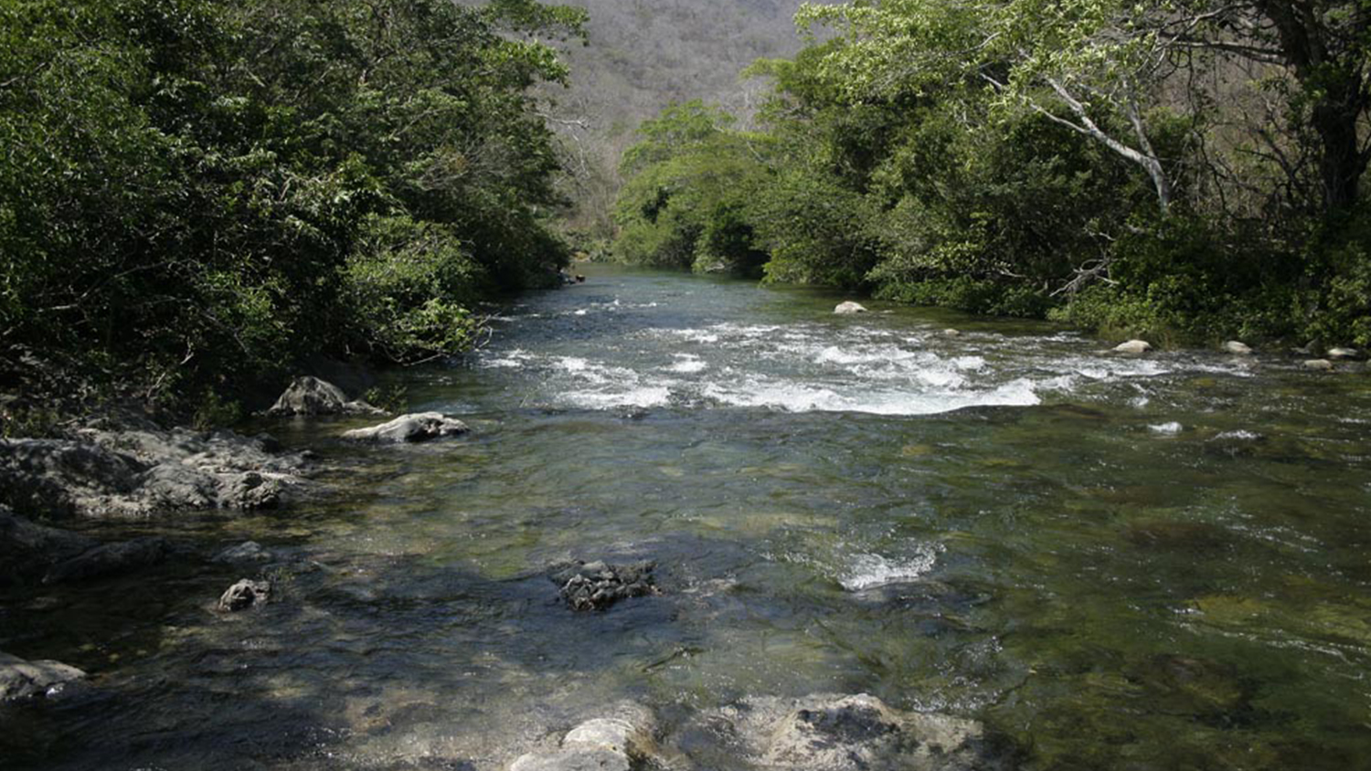 En Ecología Gobierno Federal miente, al menos 4 concesiones mineras vigentes y permisos ambientales en trámite para empresa canadiense en los Chimalapas