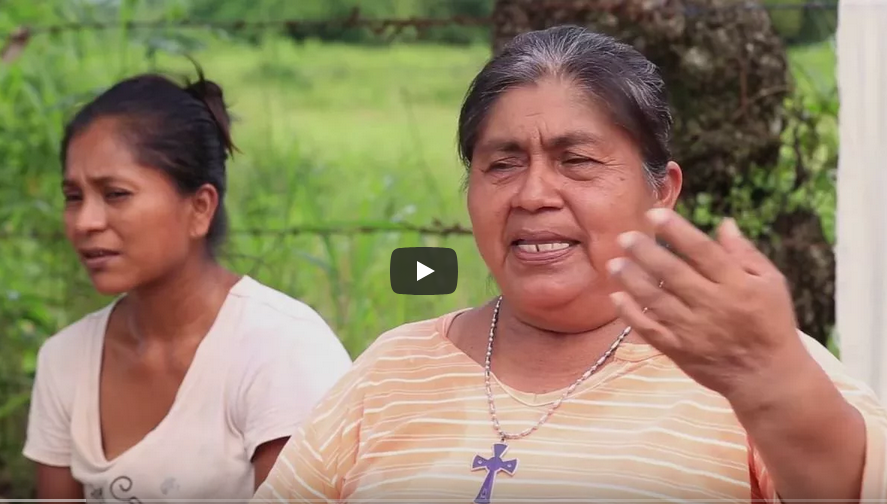 Habitantes del Soconusco, Chiapas, se organizan para detener la minería