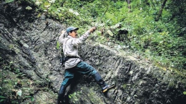 Condenan en Perú muerte de defensor ambiental