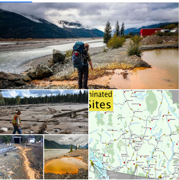 New Map Shows Dozens of Mine Pollution Threats in BC
