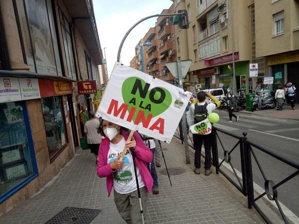 La fiebre del litio, el coche antiecológico y la ira de la Madre Tierra