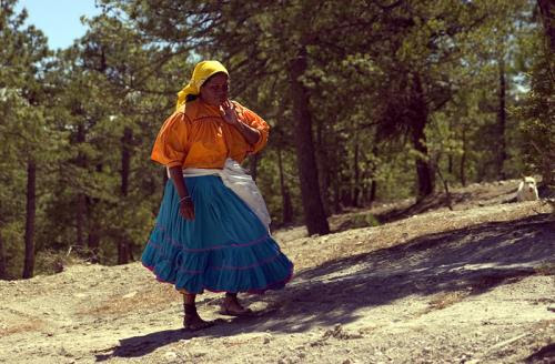Norte de México: ecocidio con rumbo de etnocidio