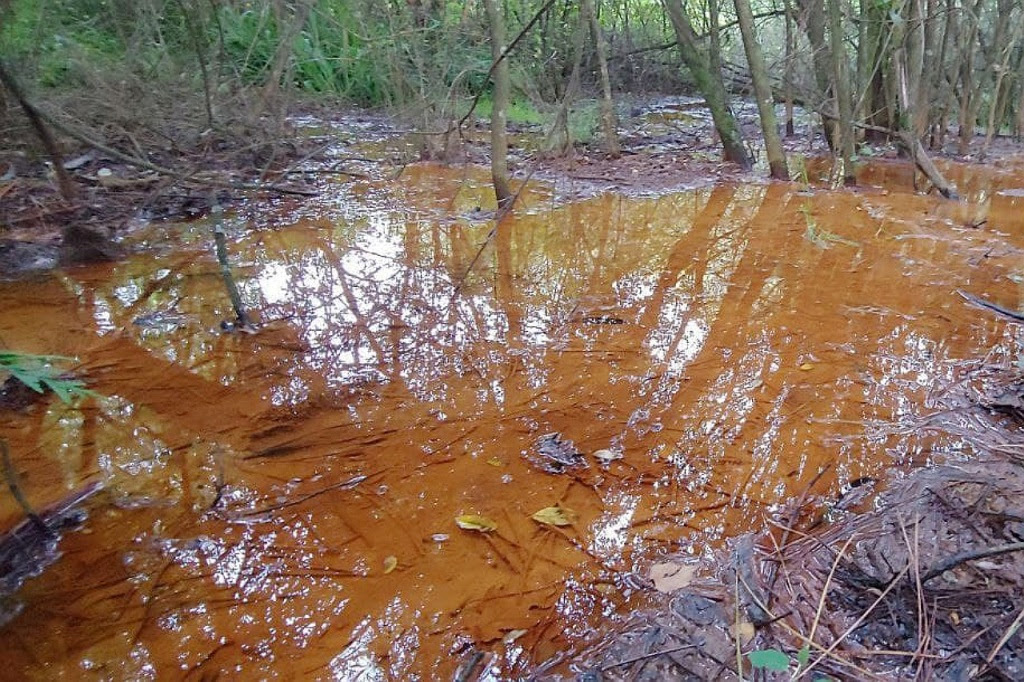La investigación científica certifica el desastre ambiental provocado por la actividad de la mina Toro en la cuenca del río Ulla y la ría de Arousa