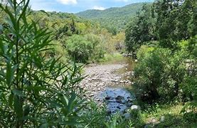 Esto es lo que hace la minera canadiense Alamos Gold Inc en Morelos