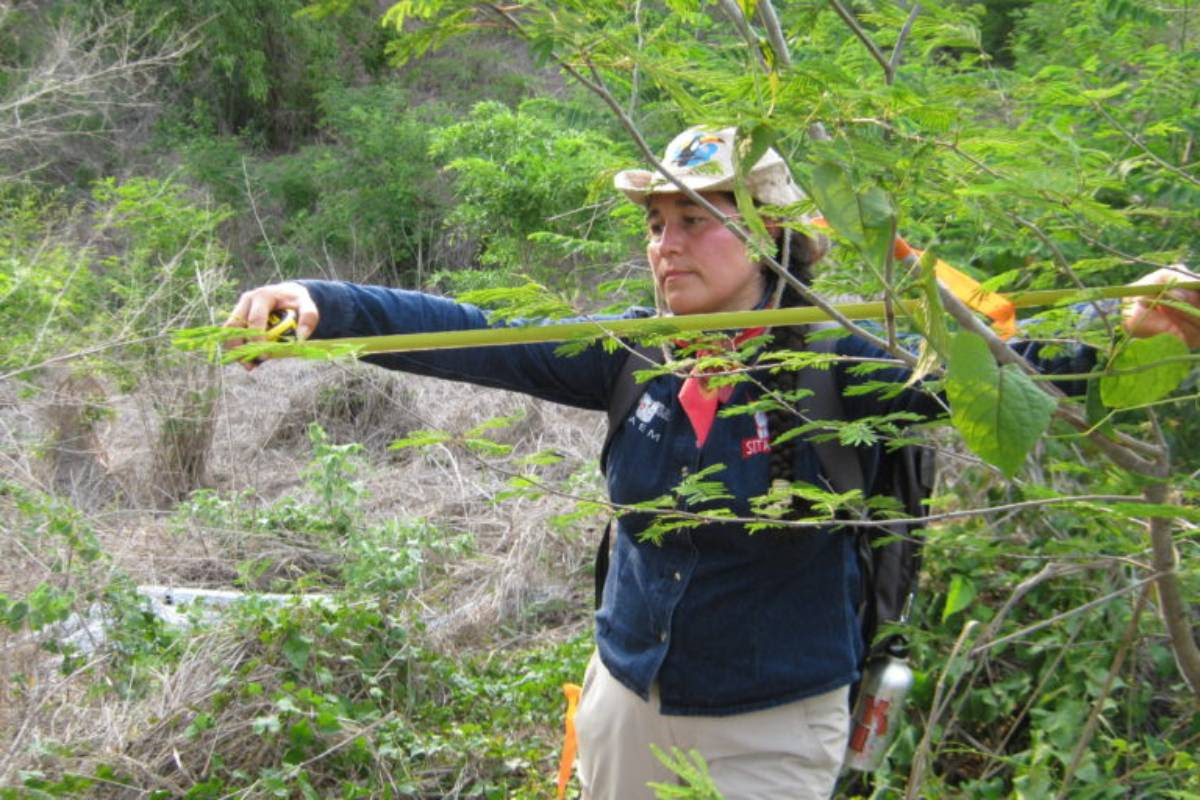 Instrucciones para rescatar una selva: El reto: restaurar suelos contaminados por las mineras