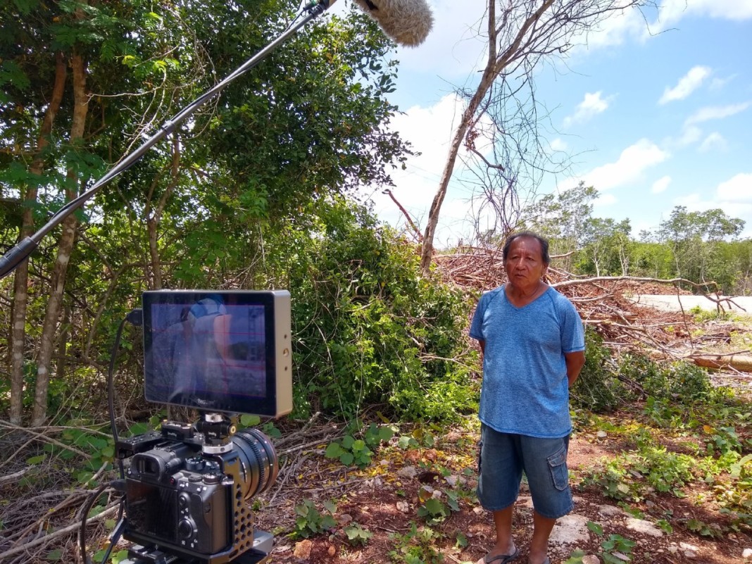 “Donde se asoma el venado”: la lucha de pobladores mayas contra megaproyectos eólicos