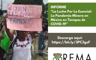 Informe: La lucha por lo esencial
