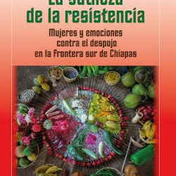 La sutileza de la resistencia.  Mujeres y emociones contra el despojo en la frontera sur de Chiapas